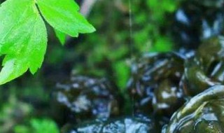 地软保存方法 保存地软的步骤