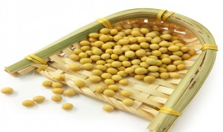 黄豆怎么做养生 黄豆这样做最养生