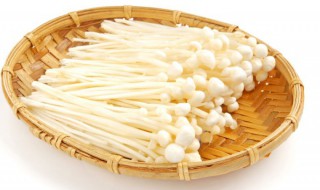 金针菇凉拌方法 金针菇凉拌的做法
