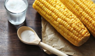 玉米加温方法 煮的玉米凉了怎么加热