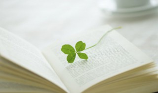 小叶子鱼怎么做 小叶子鱼的制作方法