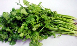 十月份适合种什么蔬菜 为什么适合种呢