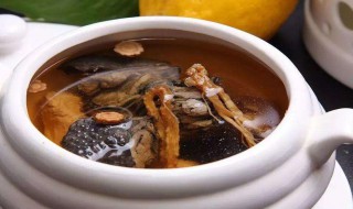 如何炖乌鸡汤好喝又营养 炖乌鸡汤方法