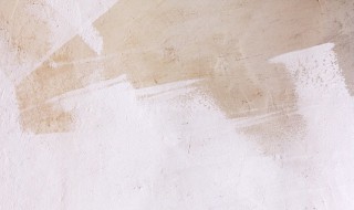 墙体打磨后地面浮灰如何处理 不要直接用扫帚清理