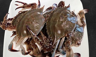梭子螃蟹的保存方法 梭子螃蟹的保存方法分享