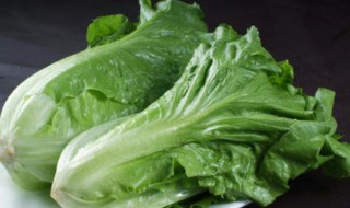 叶类蔬菜的清洗方法 叶类蔬菜如何清洗