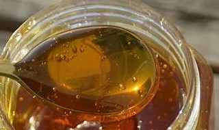蜂蜜的真假识别方法 怎样辨别蜂蜜的真假
