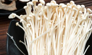 金针菇的保存方法 如何保存金针菇
