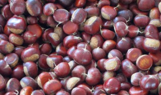 保存栗子的方法 新鲜板栗怎么保存