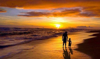 我的父亲作文600字 我的父亲作文600字范文