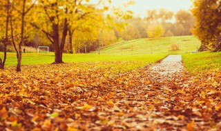 描写秋天的作文400字 描写秋天的作文范文欣赏