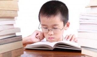 描写树木的四字词语 描写树木的四字词语集锦