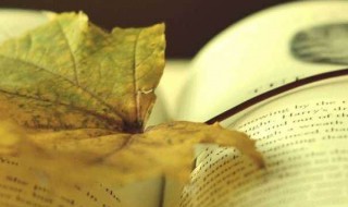 我的读书故事作文400字 我的读书故事作文400字范文