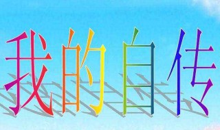 我的自传作文500字 优秀自传如下