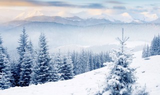 描写冬天的四字词语 描写冬天的四字词语精选