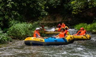 漂的多音字组词 漂的多音字组词及释义