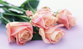 蔷薇香包做法 蔷薇香包的制作方法