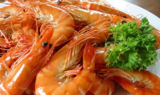 清水煮虾的简单做法 煮虾的做法