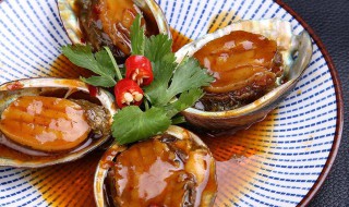 鲍鱼简单做法 鲍鱼简单做法是什么