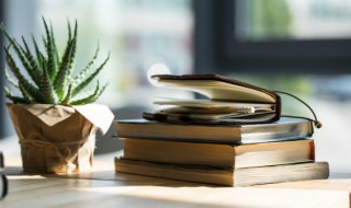 薄的多音字 有几种读法呢