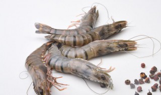 虎斑鲜虾怎么处理 虎斑鲜虾如何处理