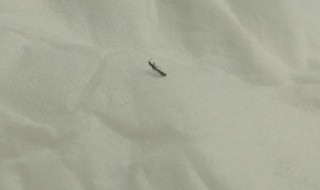 棉被有酸臭味怎么处理 这样处理最简单