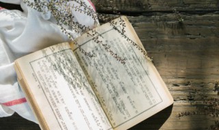 冲的多音字组词 冲的多音字组词有哪些