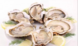 牡蛎清蒸方法 清蒸牡蛎正宗做法