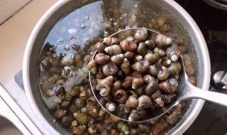 田螺操作方法 田螺的处理方法