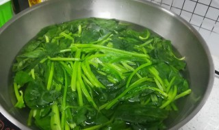 青菜挤水方法 这样操作一下就可以