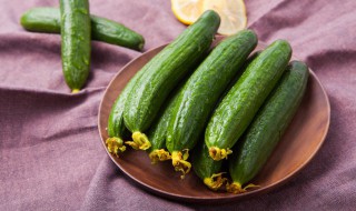 黄瓜种植方法和时间 怎么种植黄瓜