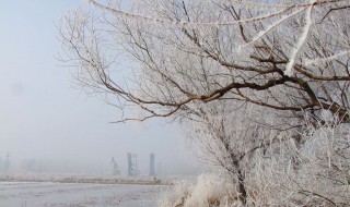 有关霜雪的句子 关于霜雪的唯美句子