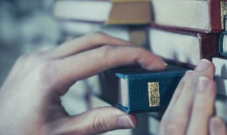 不负韶华是什么意思? 不负韶华释义