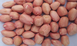 脆甜花生怎么做 脆甜花生的做法简述