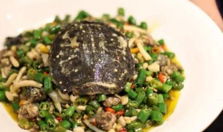 怎么做野生水鱼 怎么做美味可口的野生水鱼