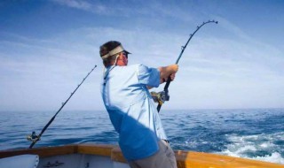 海钓鳗鱼绝密技巧 海钓鳗鱼技巧传授