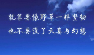 人生奋斗格言经典短句 人生奋斗格言经典短句有哪些