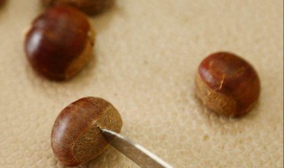 栗子怎么保存的时间长 可以保存多久呢