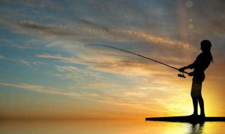 鱼饵用不完怎么保存 鱼饵用不完怎么保存方法