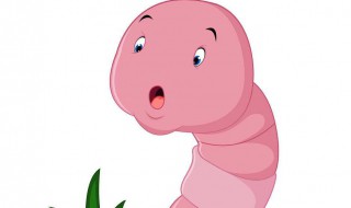 蚯蚓钓鱼的技巧和方法 蚯蚓钓鱼的四种使用方法