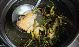 怎么做橄榄鸡汤 青橄榄炖鸡汤的做法步骤