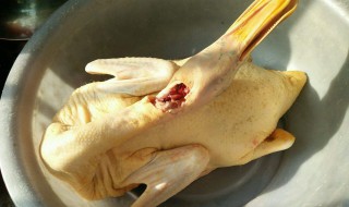 杀鸭子怎么做容易脱毛 这样脱毛最简单