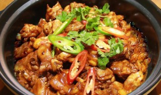 鸡煲怎么做 鸡煲的做法与步骤