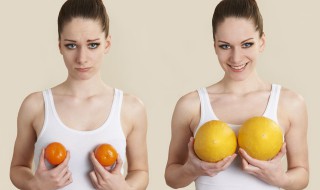 牛奶木瓜怎么做丰胸 木瓜牛奶的做法