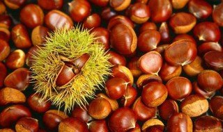 如何保存板栗 新鲜板栗怎么保存