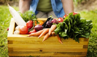 快速洗菜技巧 如何快速洗菜