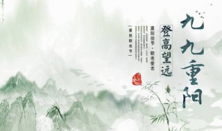 重阳节手抄报内容资料 重阳节手抄报内容资料有什么