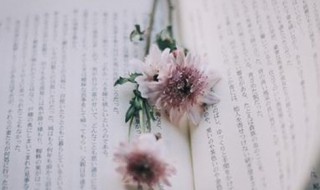 英文座右铭励志 几句英文座右铭