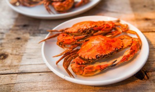 大闸蟹什么时候最肥 哪个季节大闸蟹比较肥