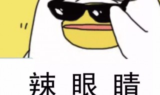 辣眼睛是什么意思 辣眼睛的意思 是什么